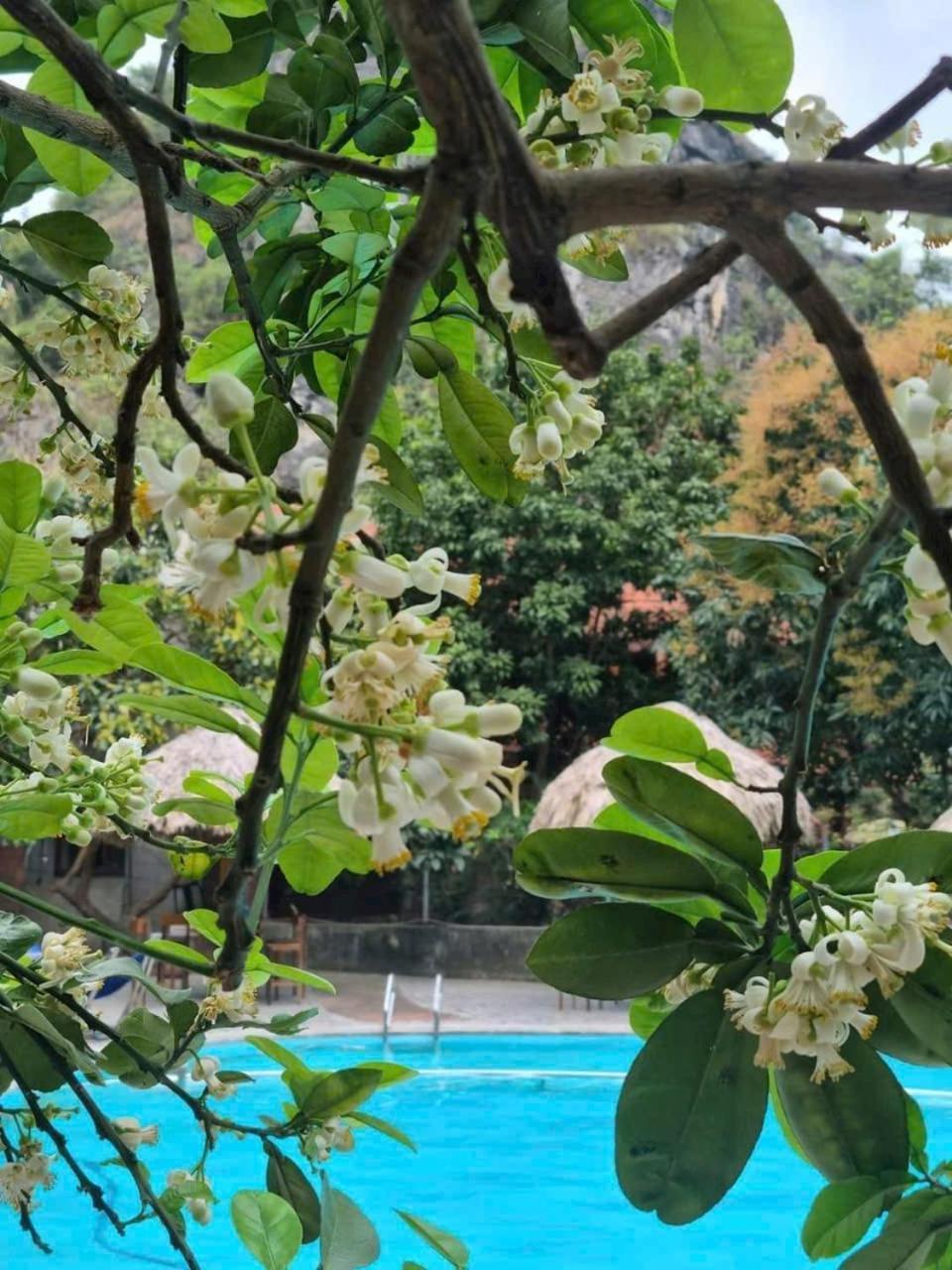 Hoalu Ecolodge Homestay Ninh Bình Extérieur photo