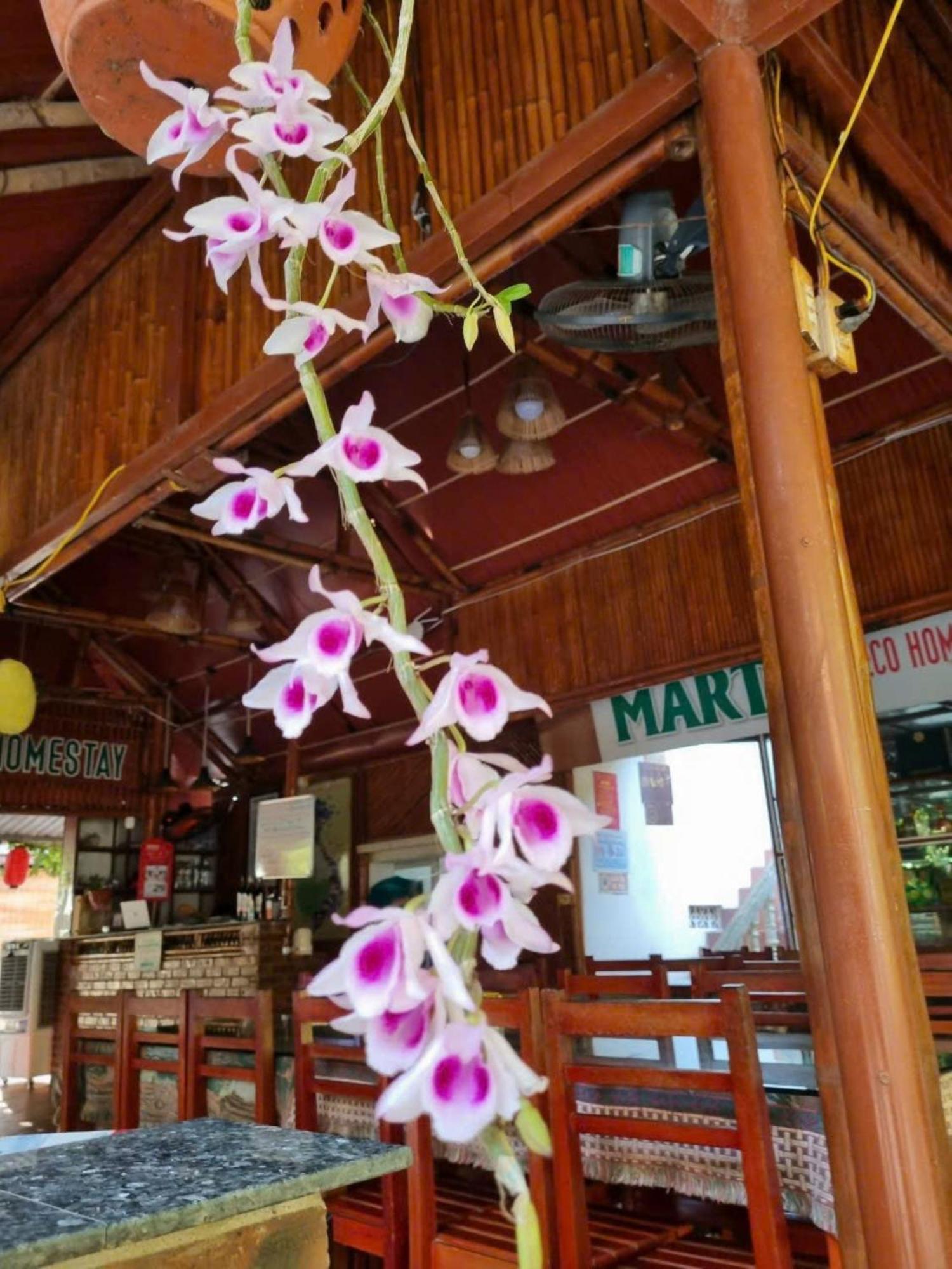 Hoalu Ecolodge Homestay Ninh Bình Extérieur photo