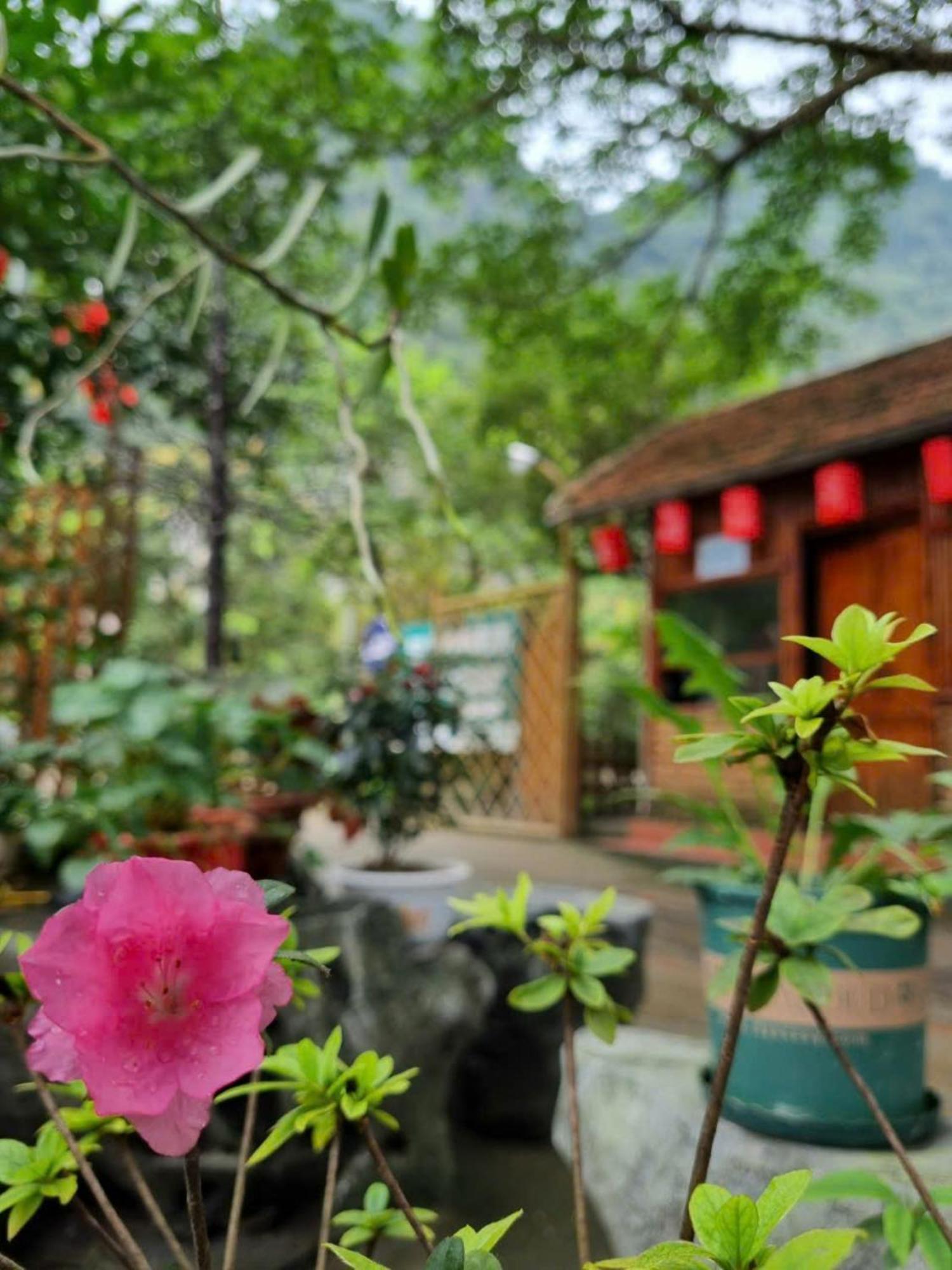 Hoalu Ecolodge Homestay Ninh Bình Extérieur photo