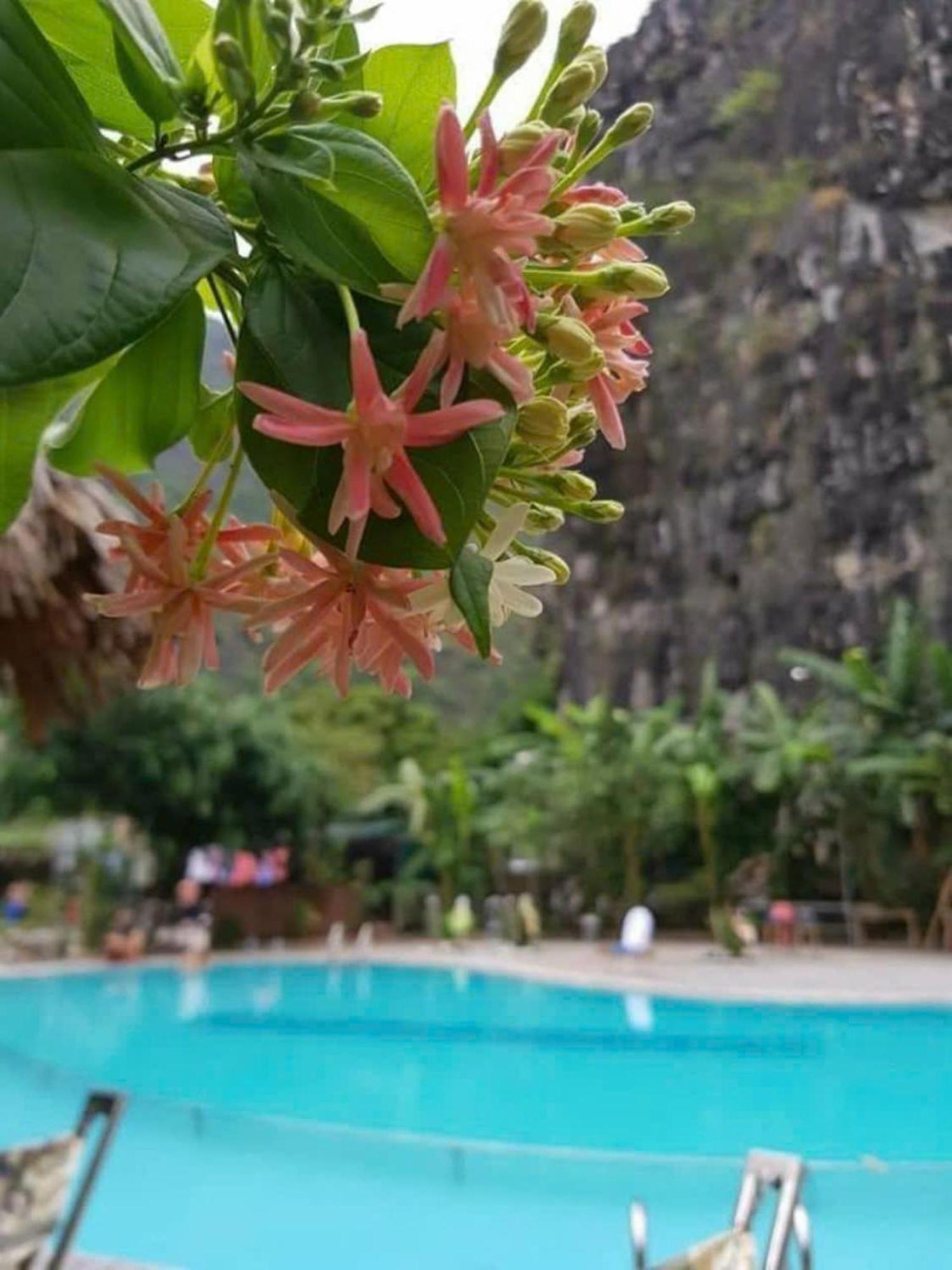 Hoalu Ecolodge Homestay Ninh Bình Extérieur photo