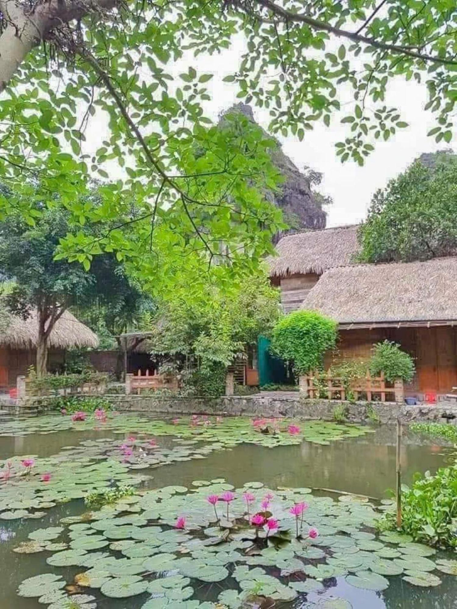 Hoalu Ecolodge Homestay Ninh Bình Extérieur photo